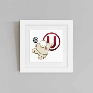 UNIVERSITARIO 25