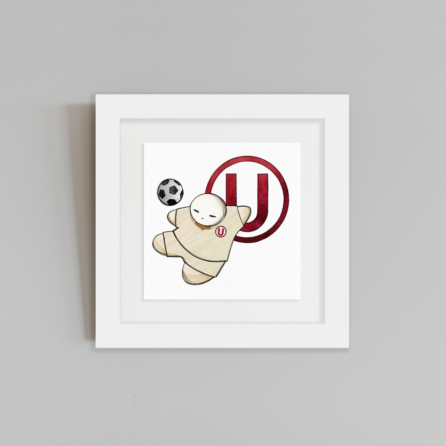 UNIVERSITARIO 25