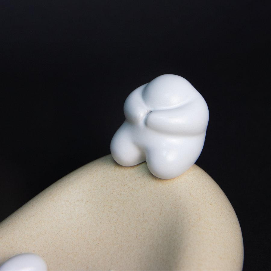 PORTAINCIENSO KOI - ARENA