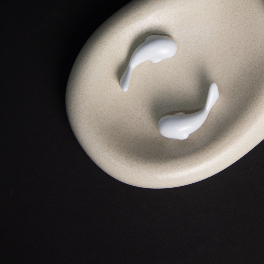 PORTAINCIENSO KOI - ARENA