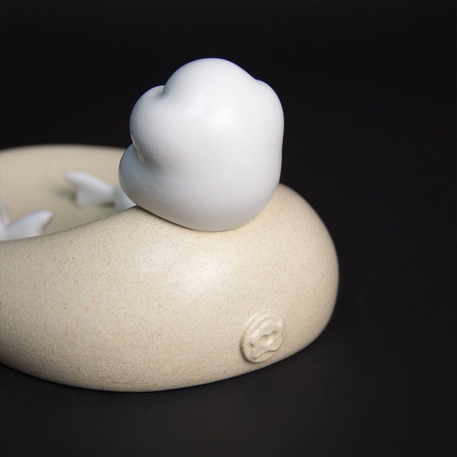 PORTAINCIENSO KOI - ARENA